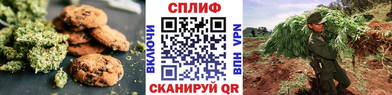 купить наркоту  Дербент  ссылка на мегу   Печенье с ТГК марихуана 