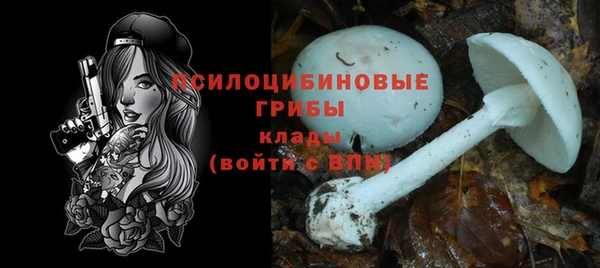 MDMA Premium VHQ Нязепетровск