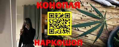 spice Моздок