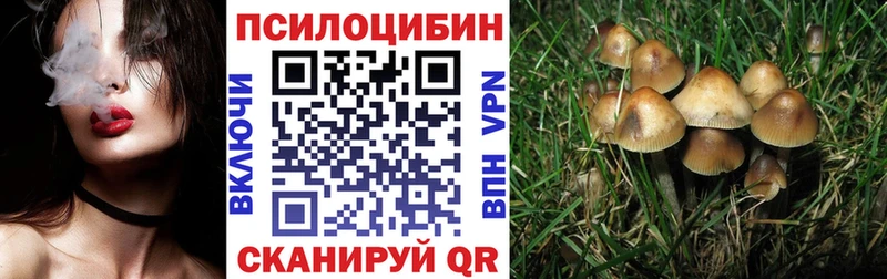 Псилоцибиновые грибы прущие грибы где продают наркотики Дербент