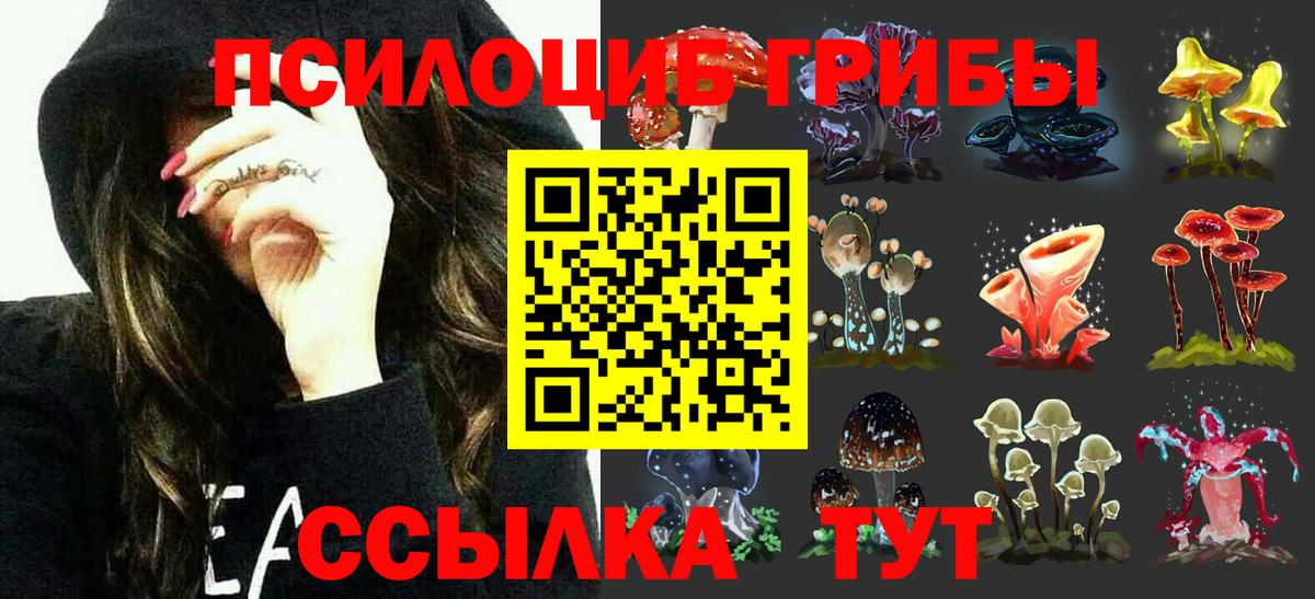 где можно купить наркотик  Псилоцибиновые грибы ЛСД  Вход с VPN  Дербент 